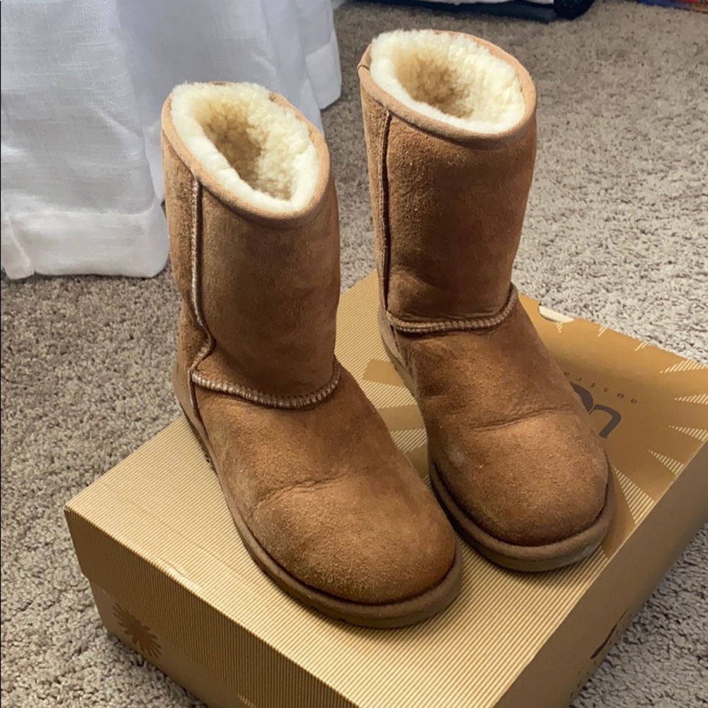 UGG CLASSIC SHORT BOOT - CHESTNUT